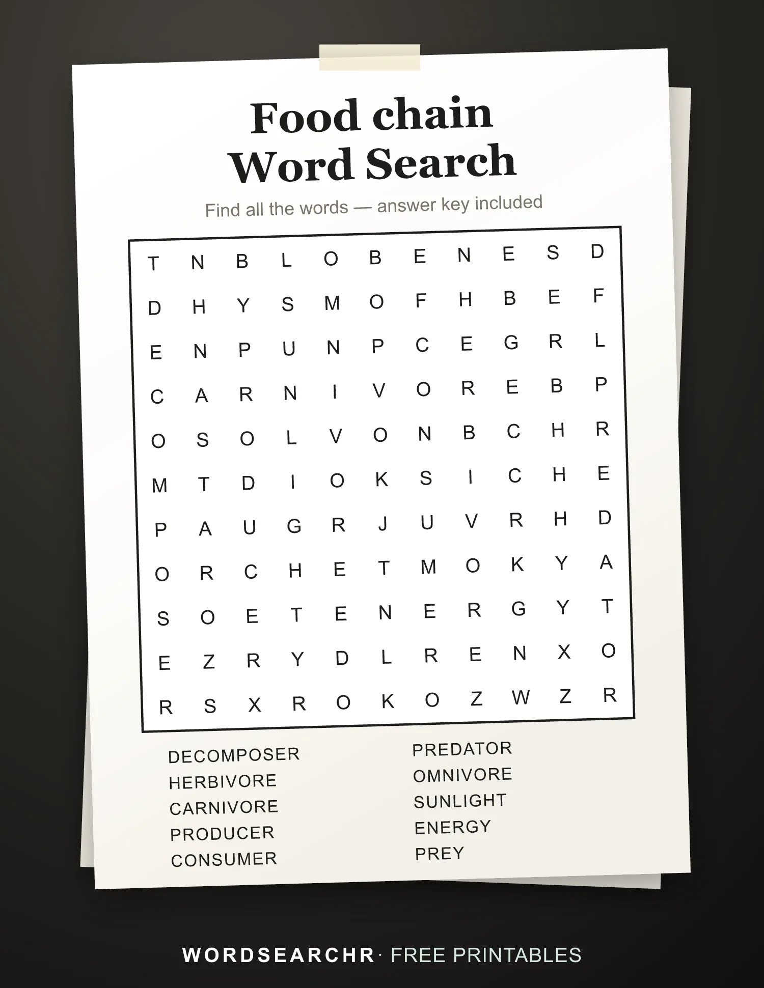 Printable Food chain Word Search — 10 words, Answer key included